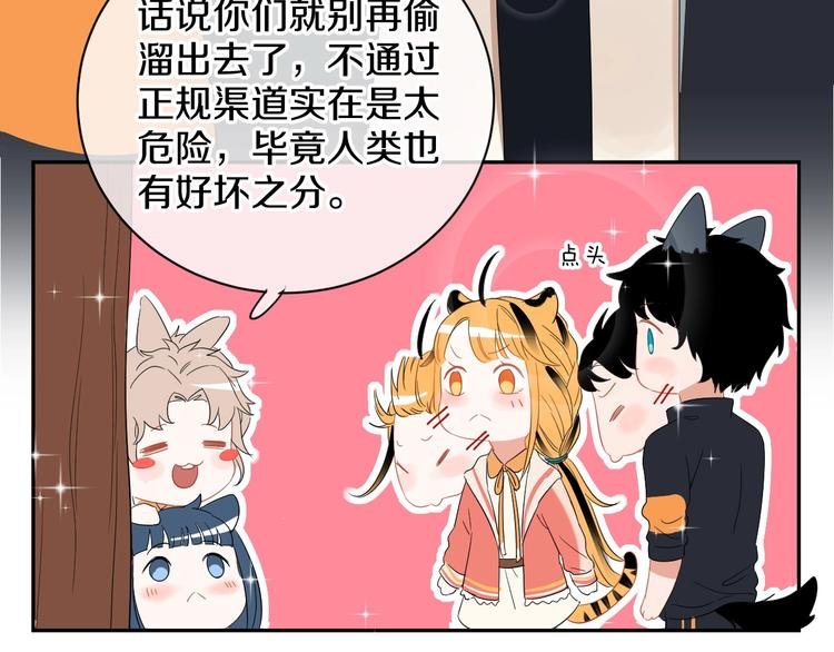 完结篇 狼与虎