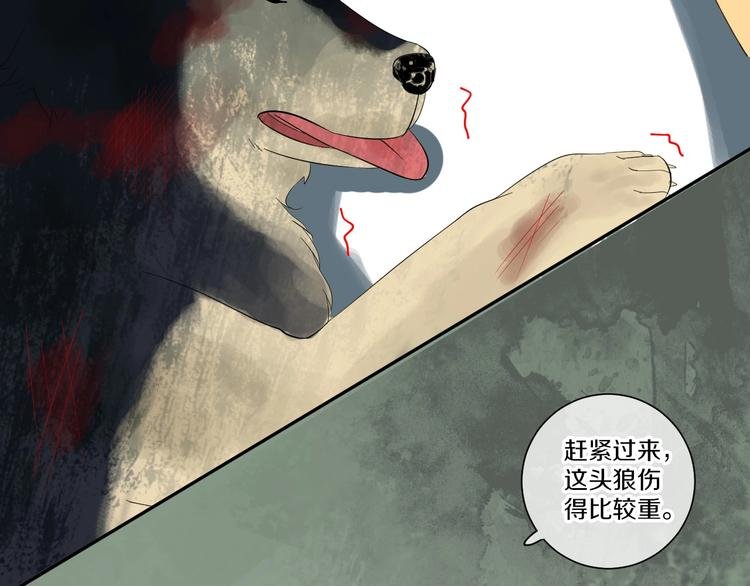第10话 狼王