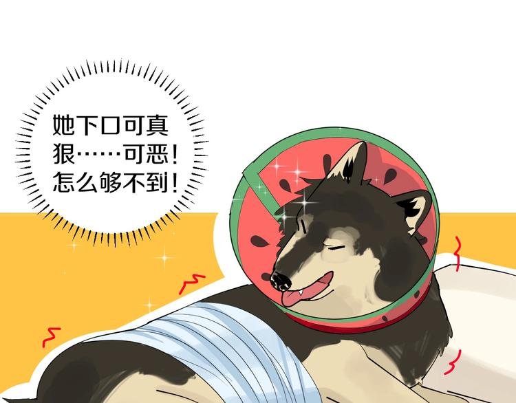 第10话 狼王