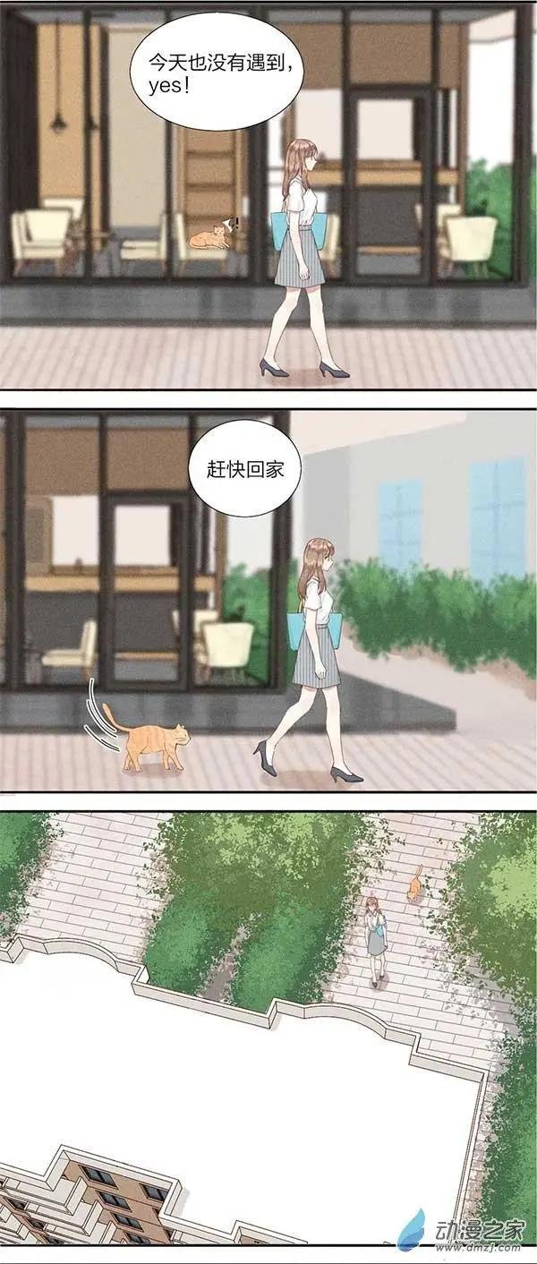 第04话 松饼的秘密