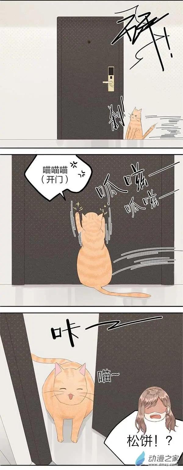 第04话 松饼的秘密