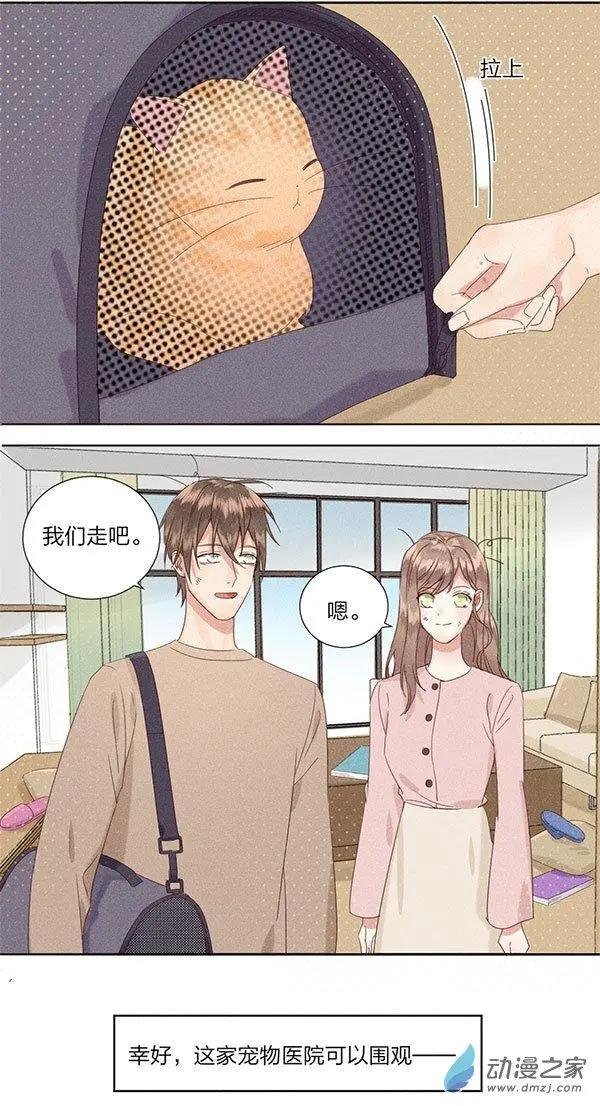 第13话 松饼发情了？！