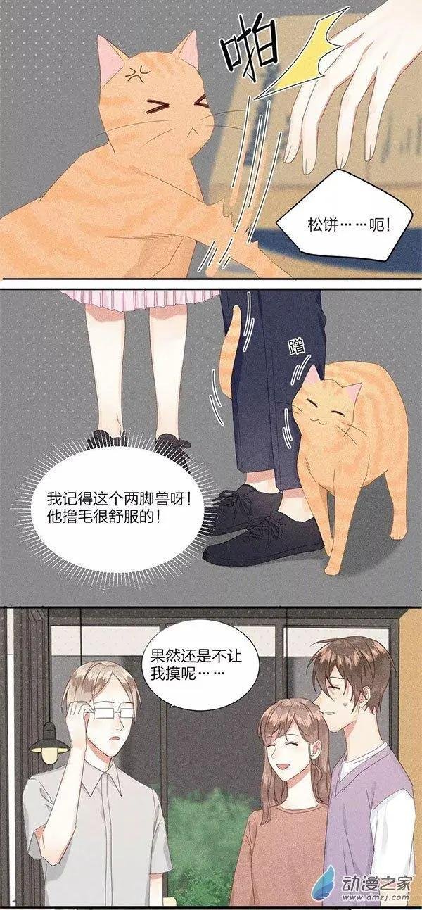 第10话 有你有我有猫 就是我一直想要的生活