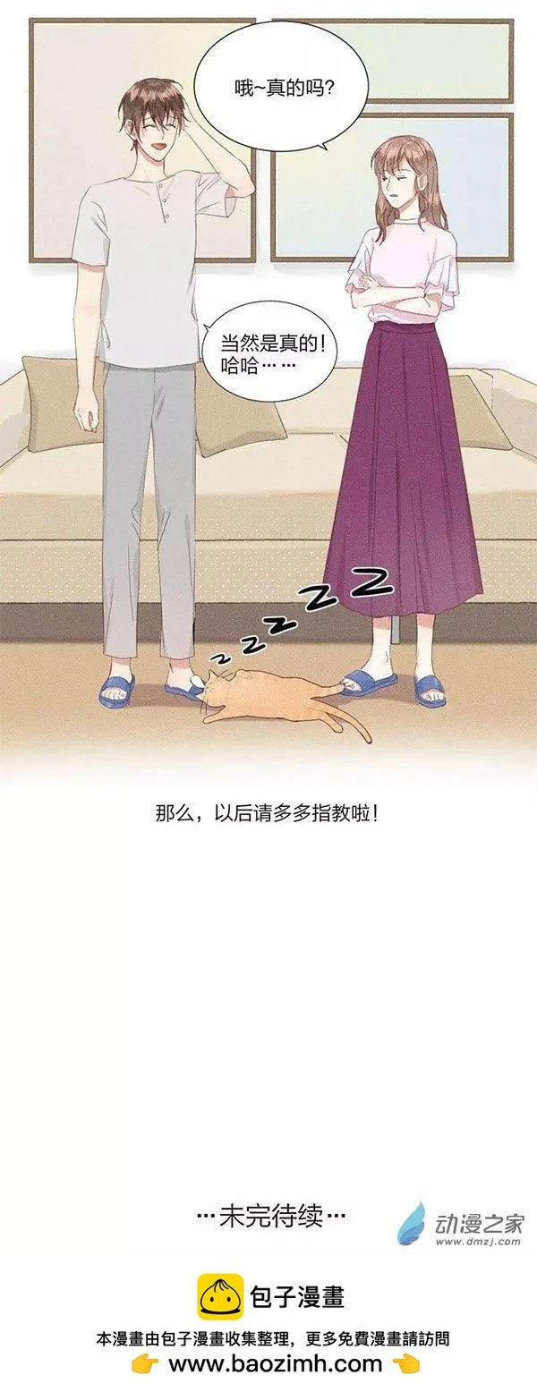 第10话 有你有我有猫 就是我一直想要的生活