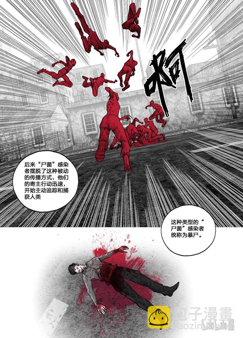 1 001我们的超市