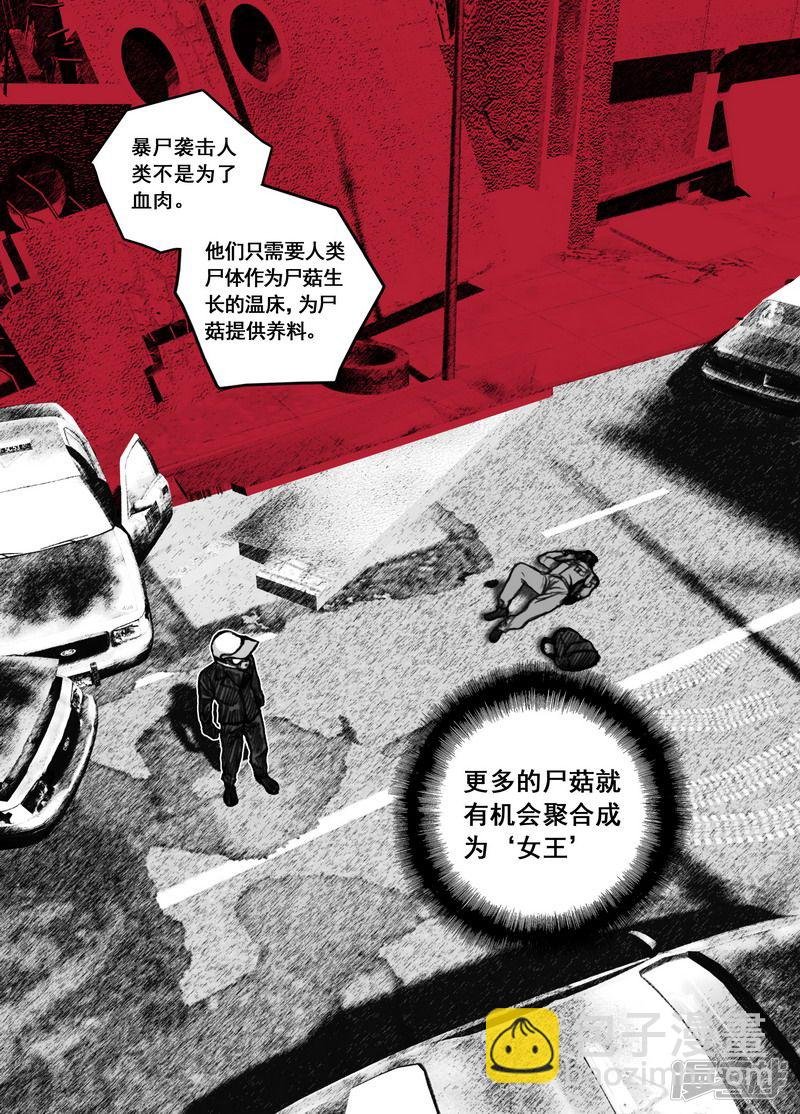 177 177追踪