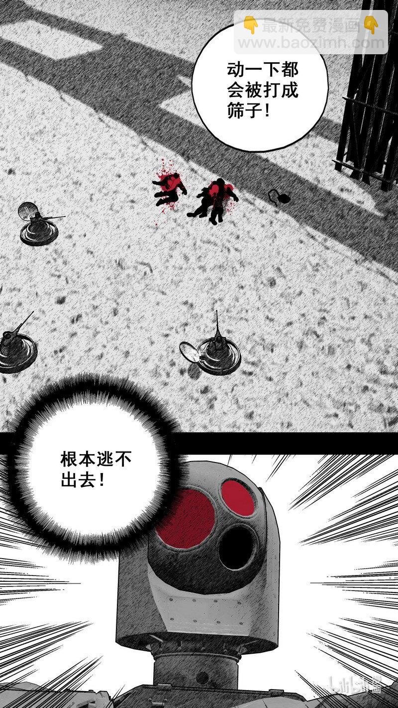 256 256大屿归来