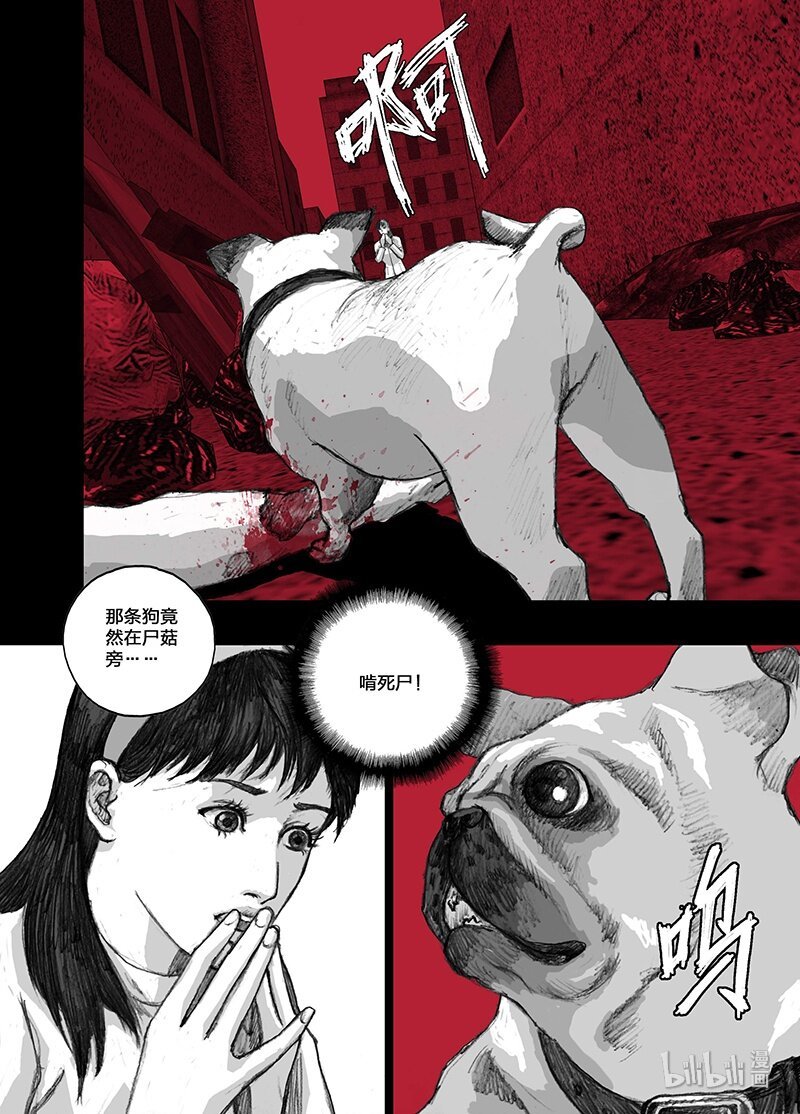 5 005前途