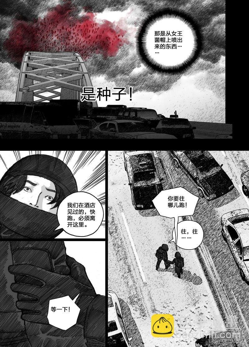 92 092’种子’