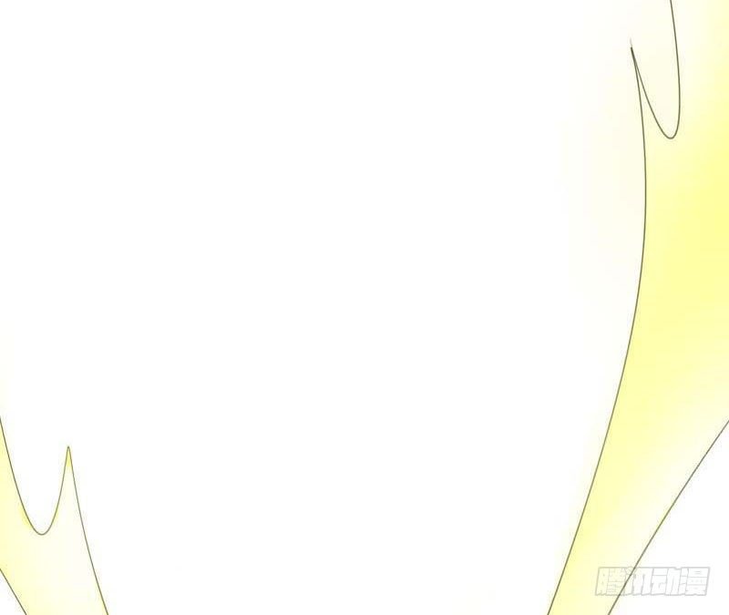 预告