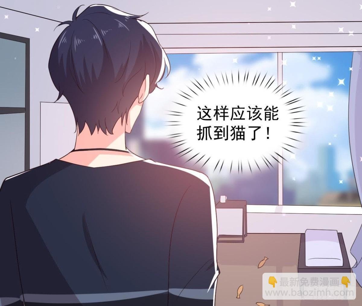 诱猫达人