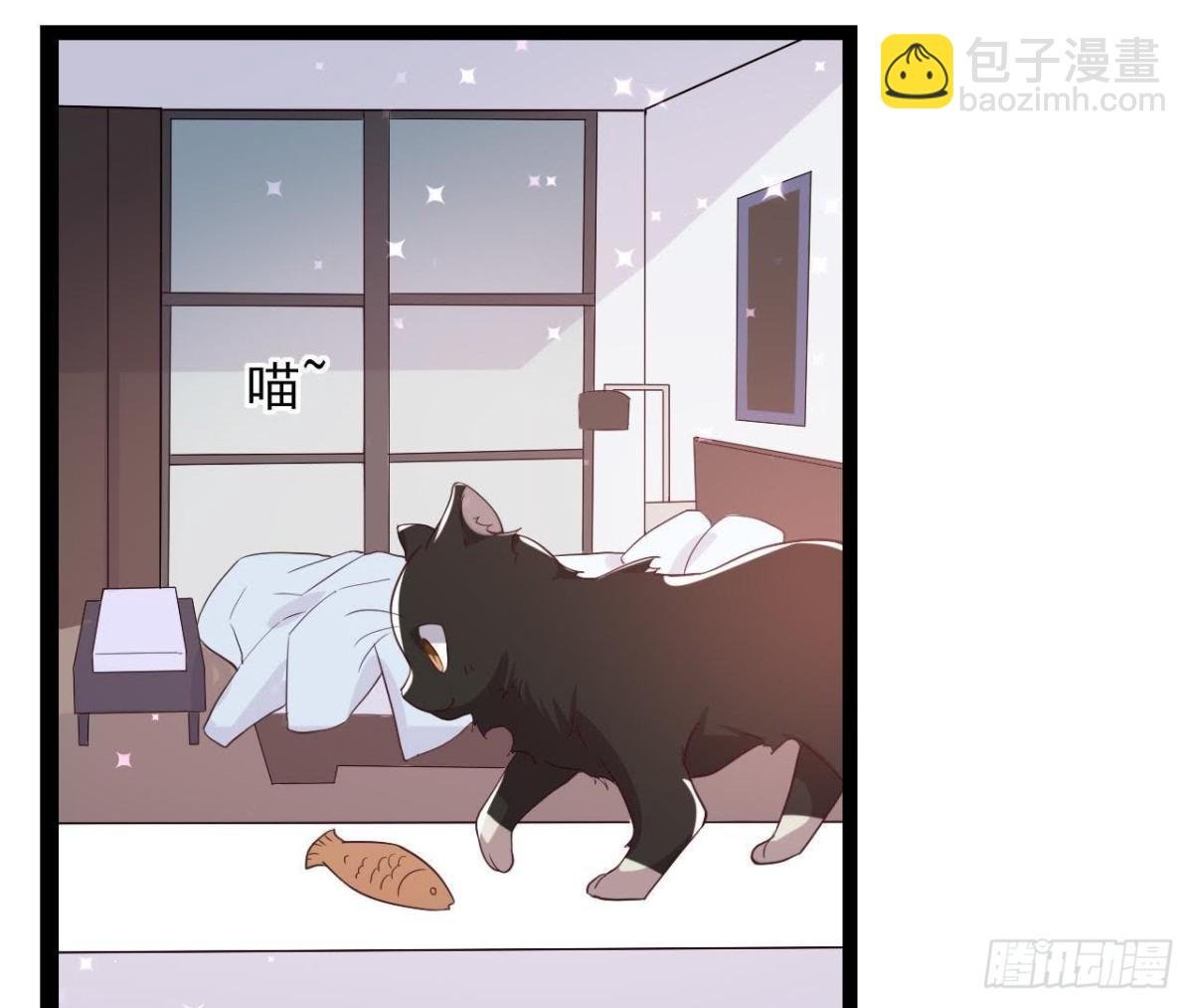 诱猫达人