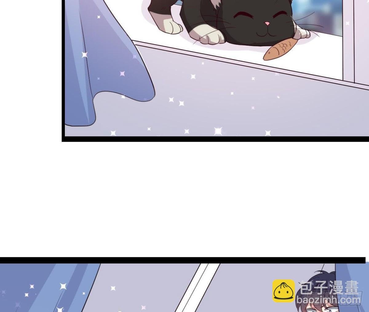诱猫达人
