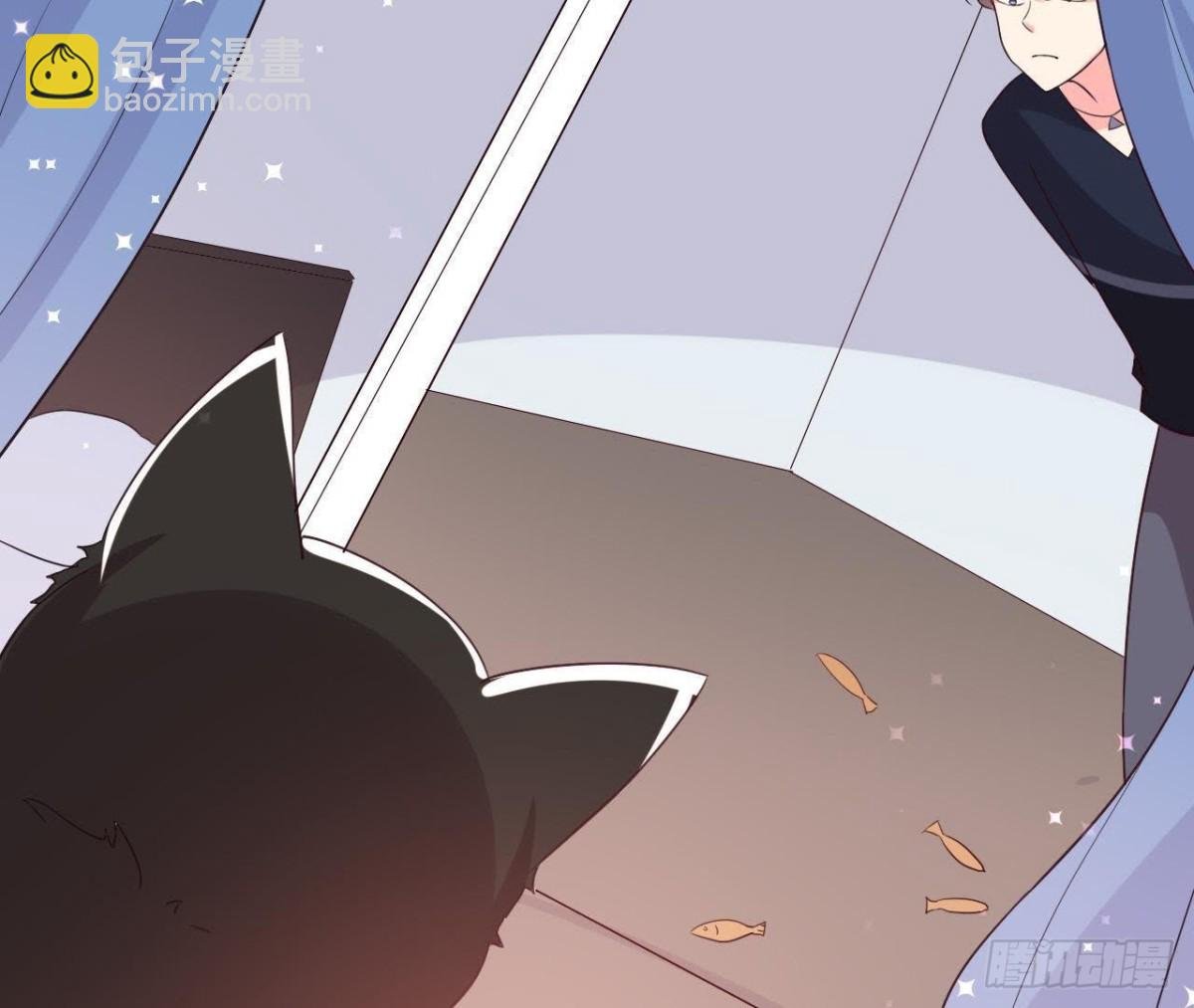 诱猫达人