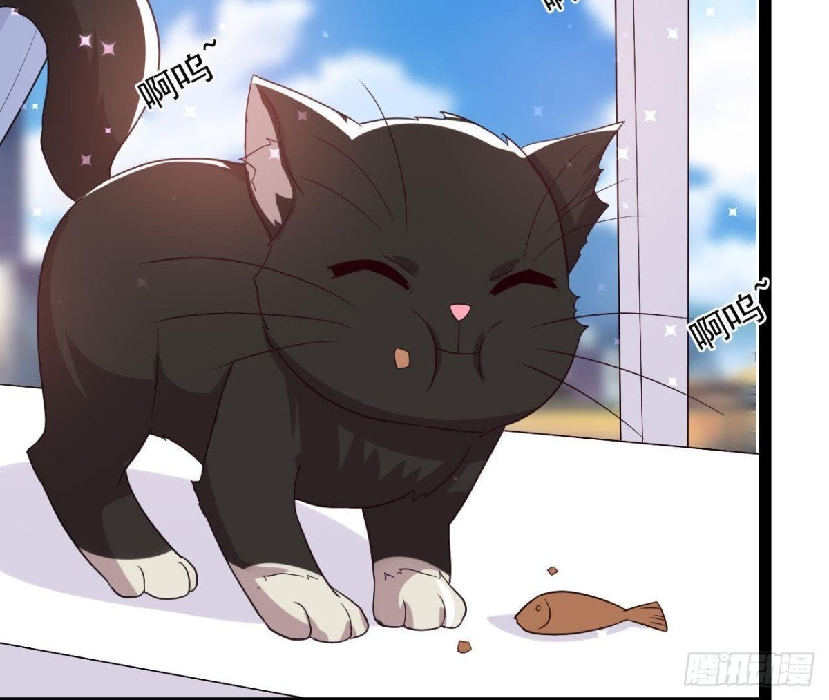 诱猫达人