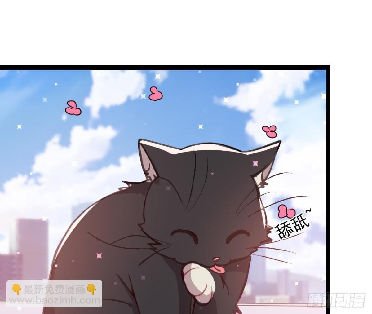 诱猫达人
