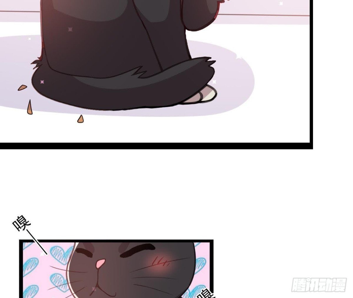 诱猫达人