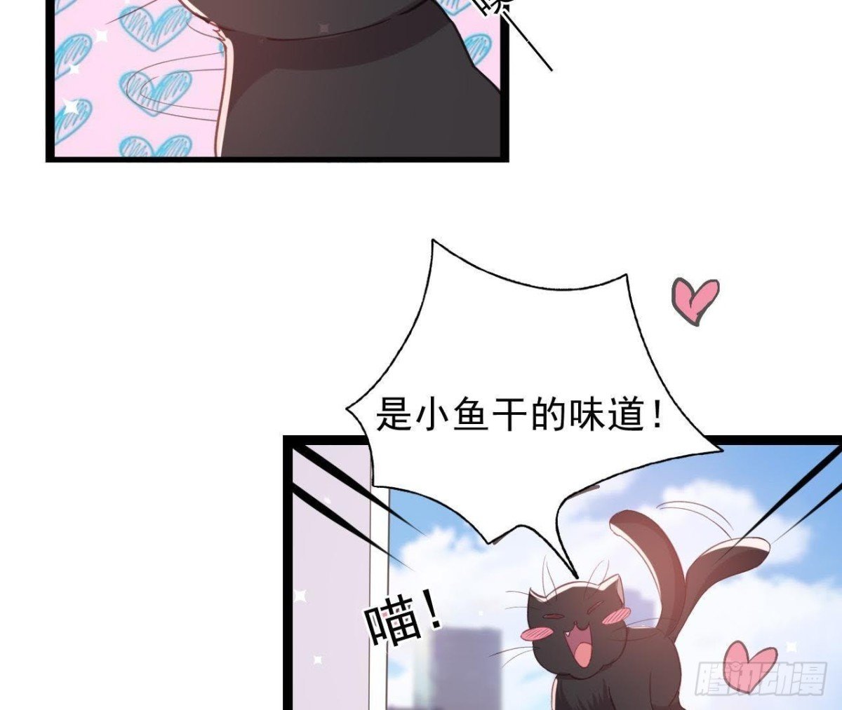诱猫达人