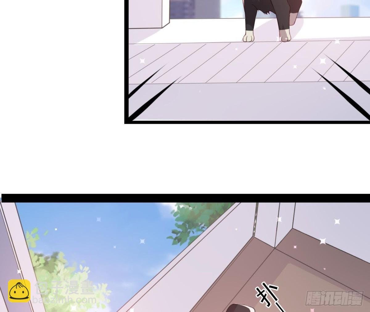 诱猫达人