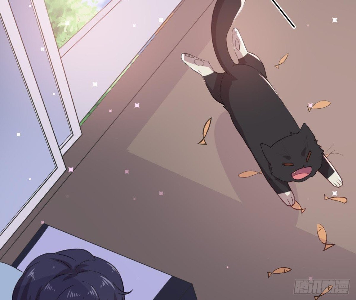诱猫达人
