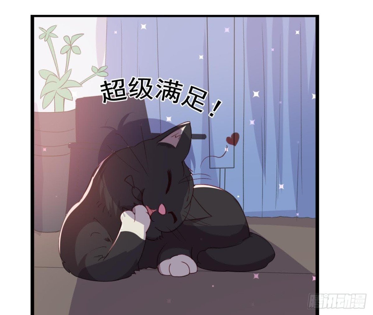 诱猫达人