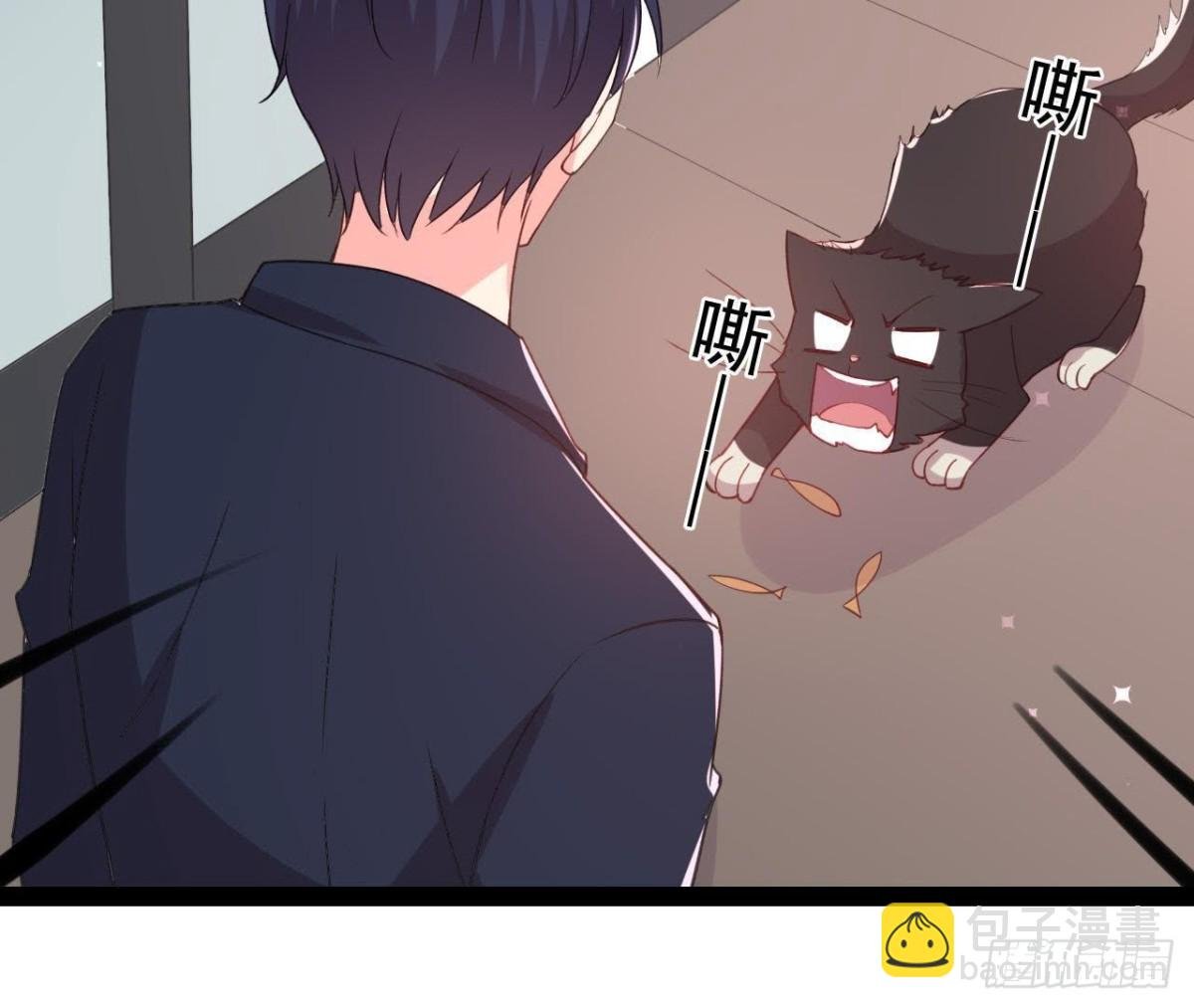 诱猫达人