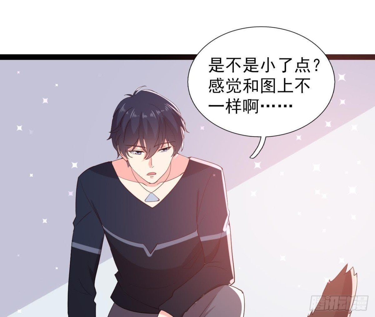 诱猫达人