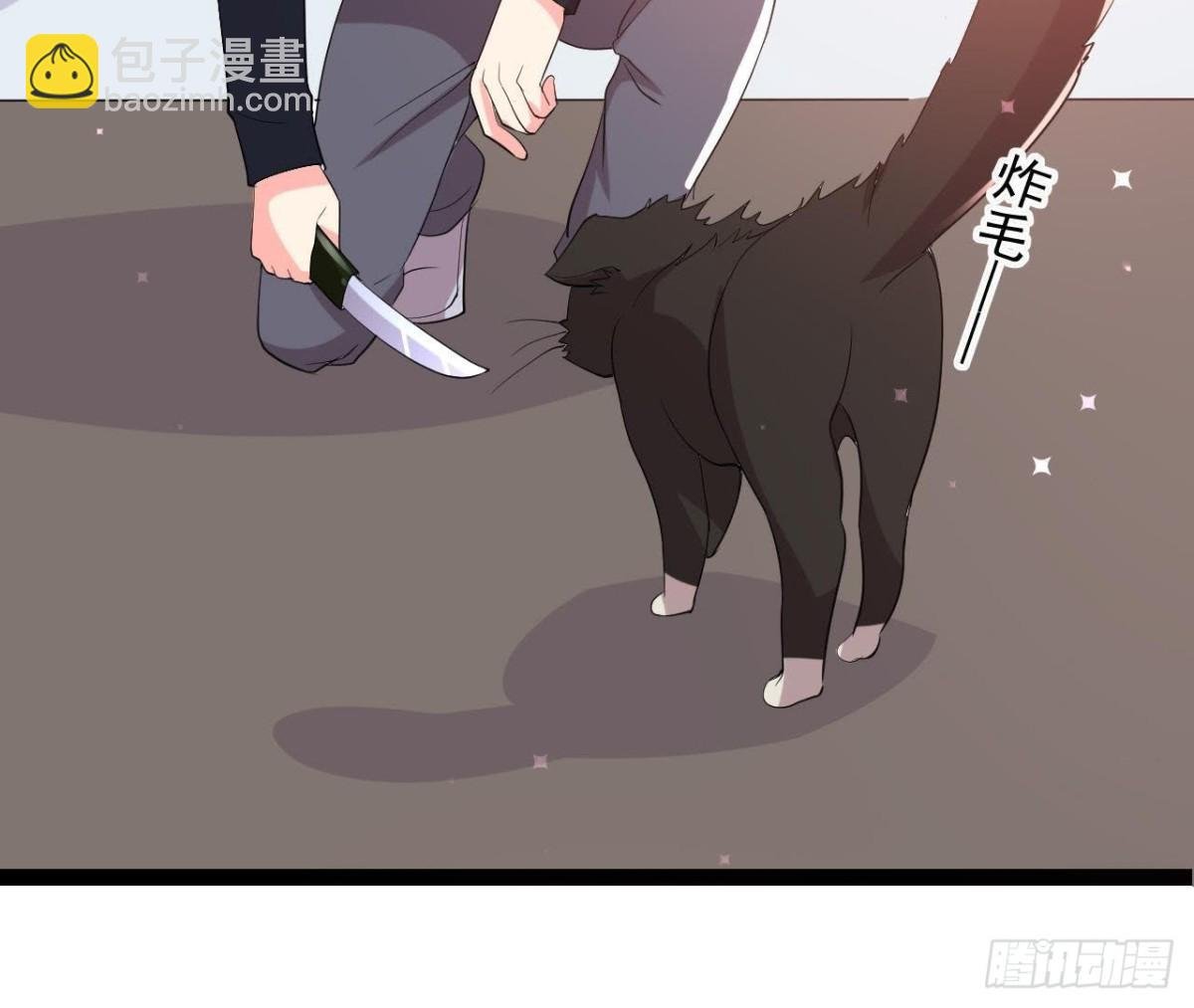 诱猫达人