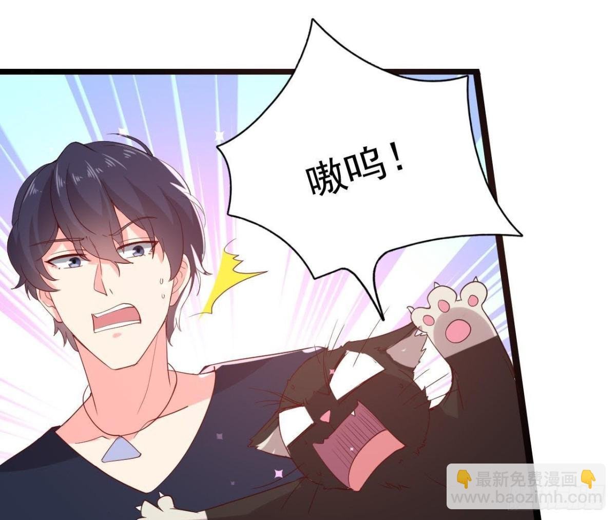 诱猫达人