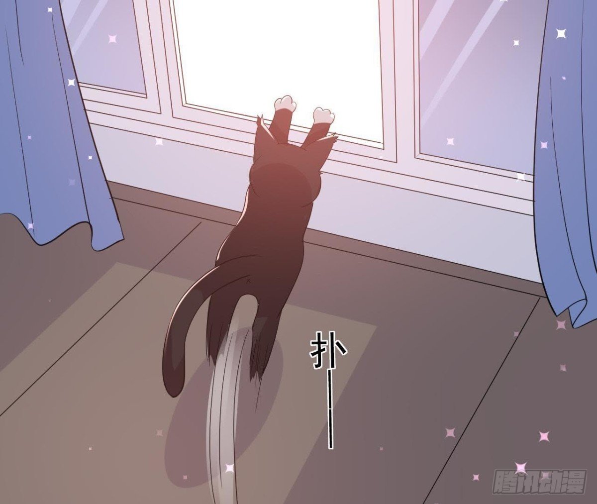 诱猫达人