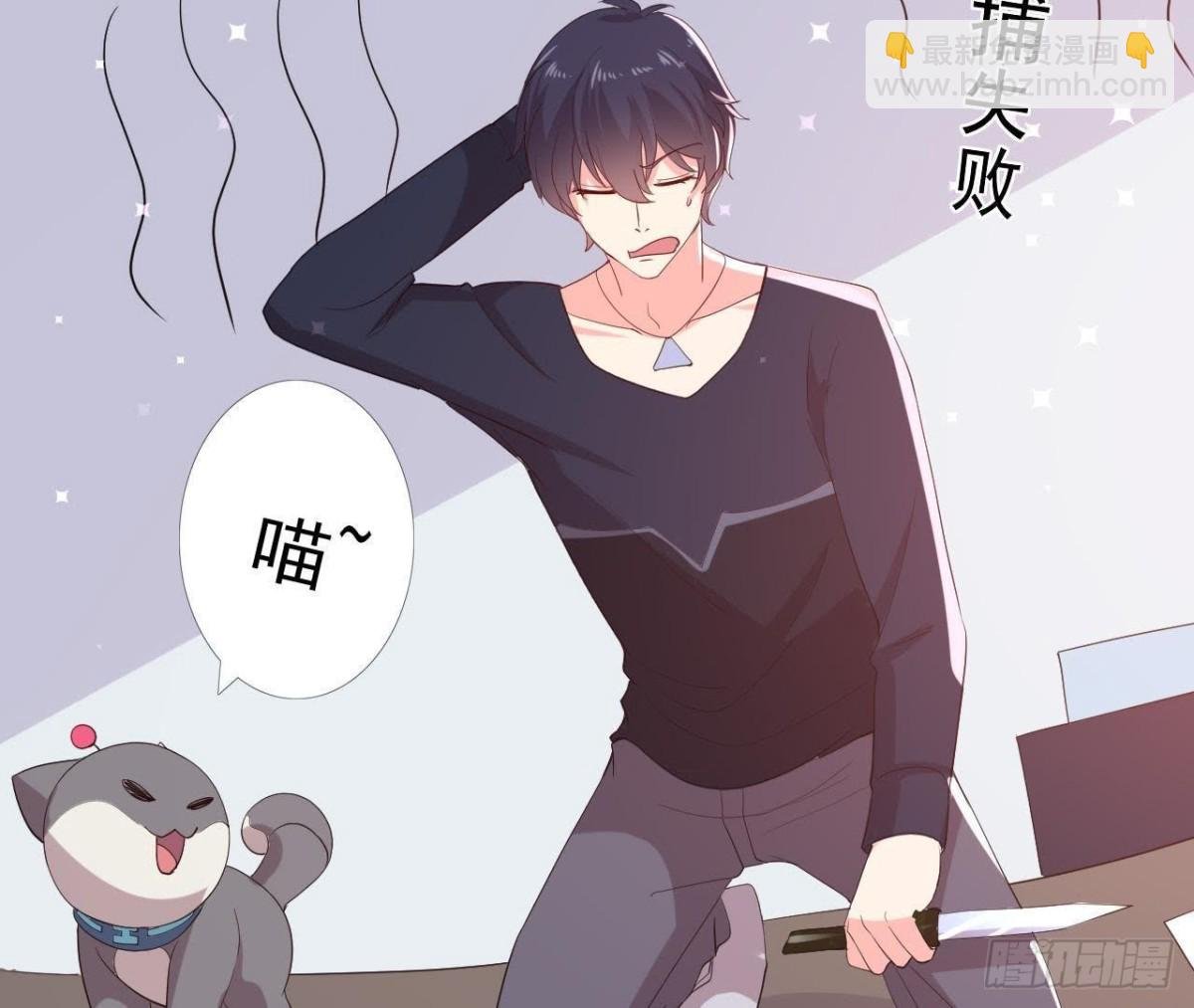 诱猫达人