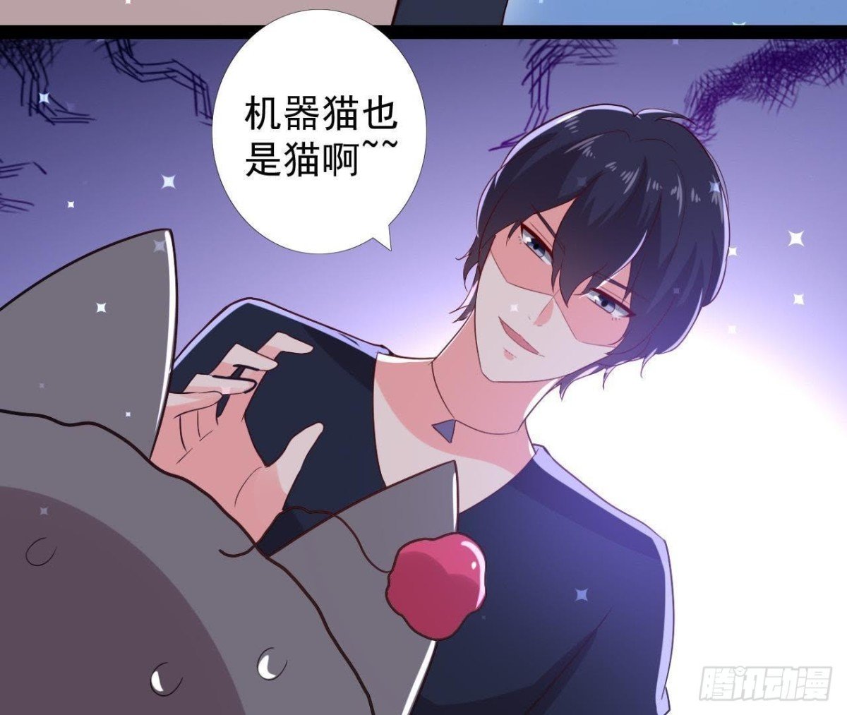 诱猫达人
