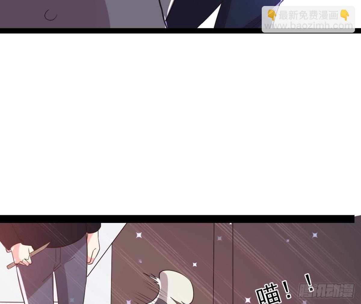 诱猫达人