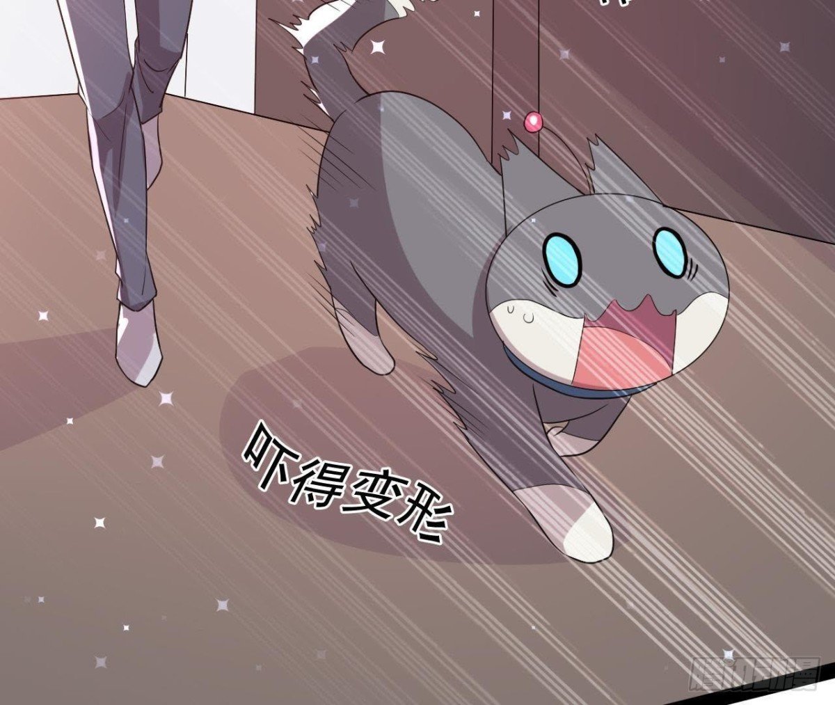 诱猫达人