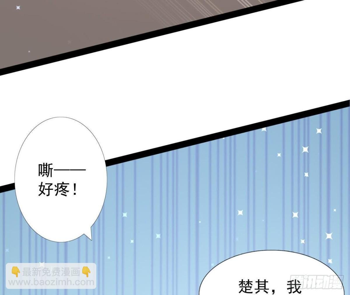 诱猫达人