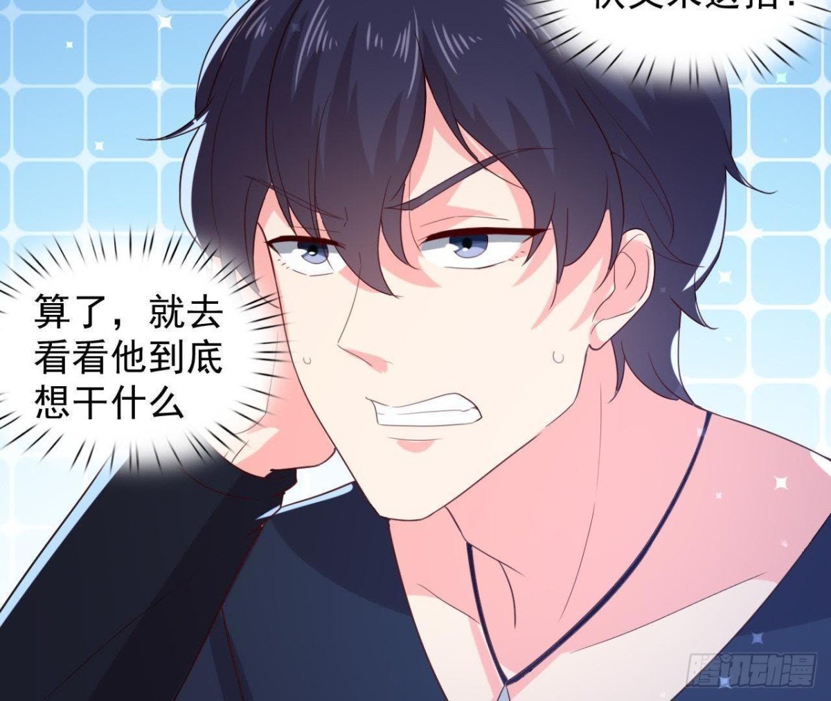 诱猫达人