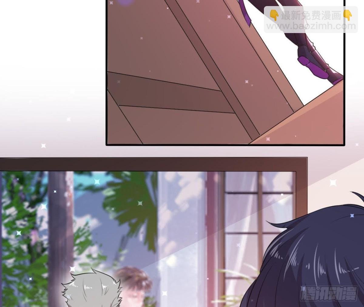 诱猫达人
