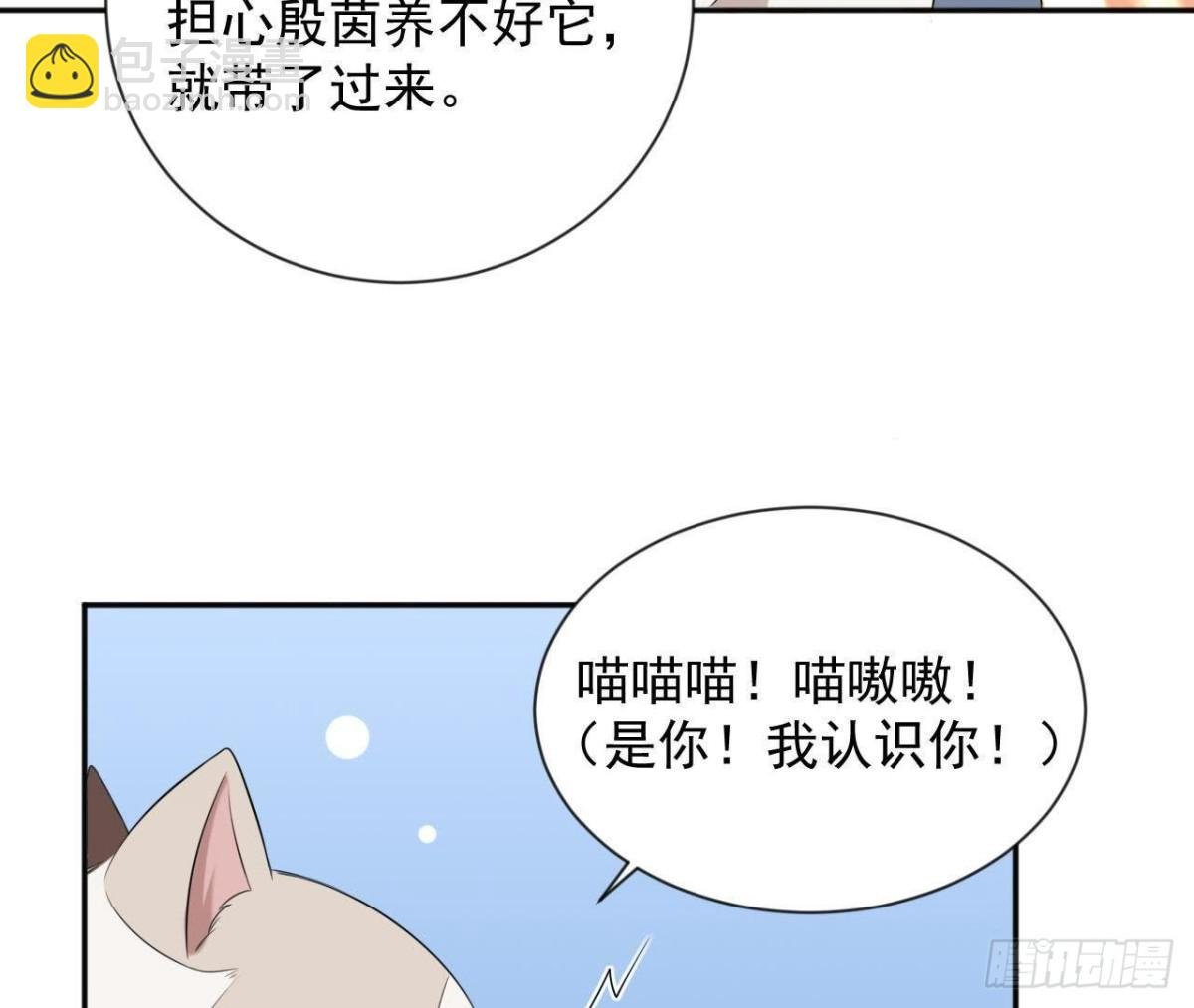 第166话 还有一个！？