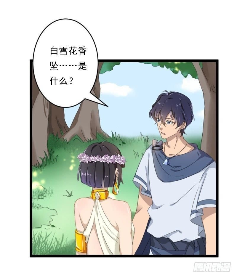 曾经的白雪花