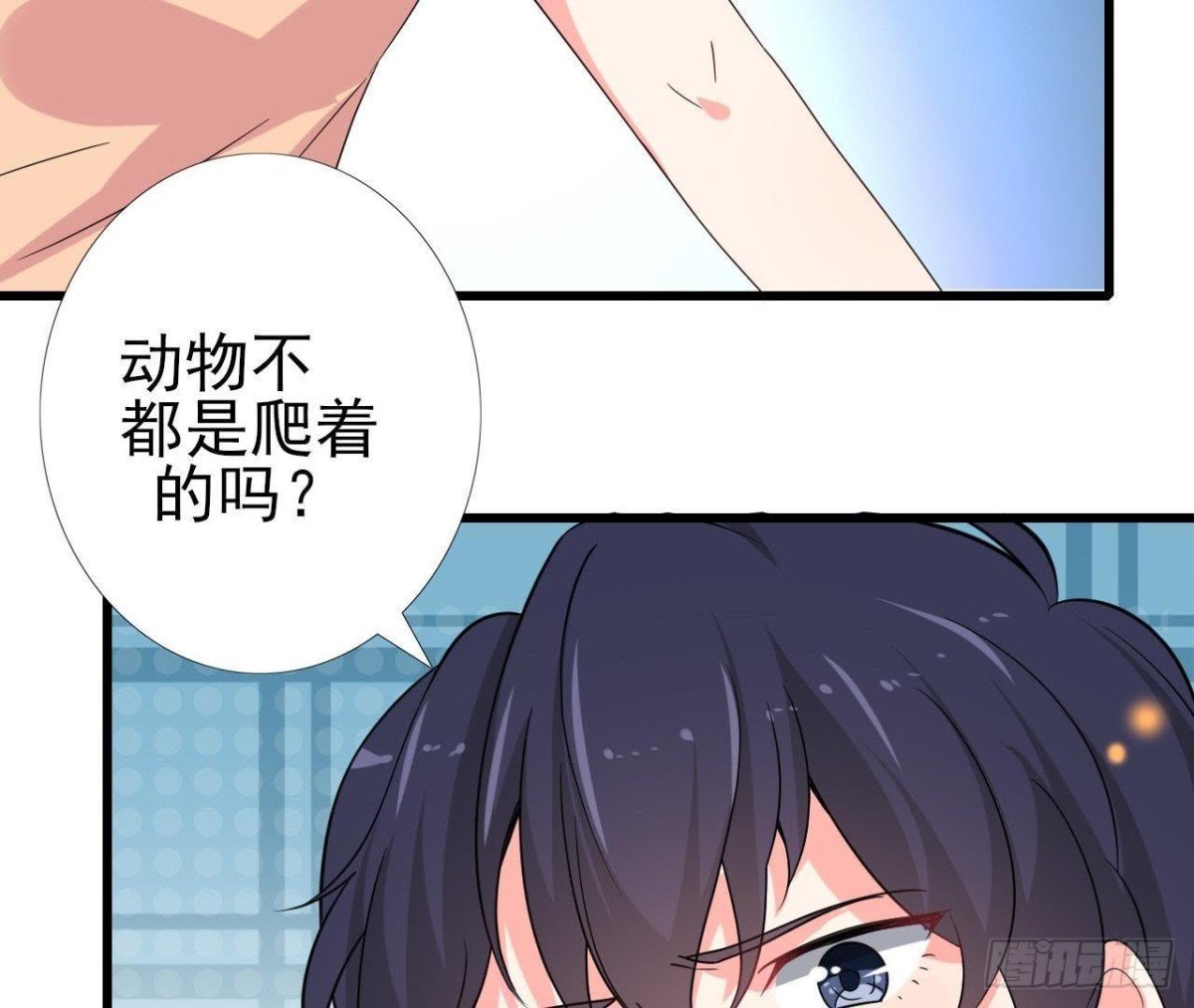看！灰机！