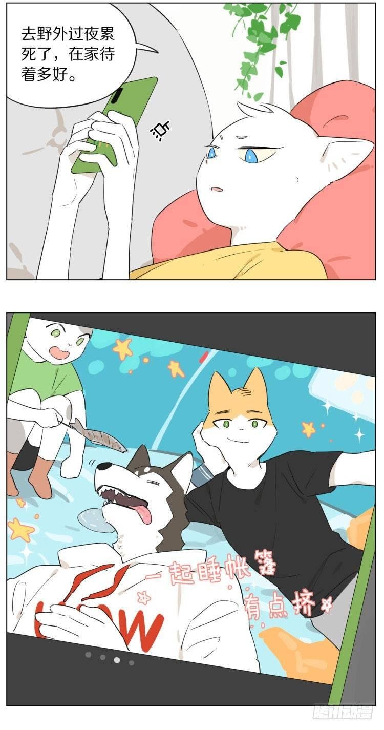 露营