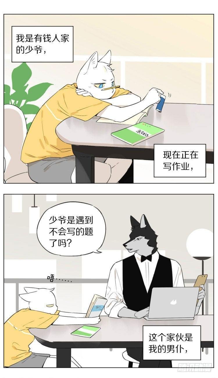 写作业
