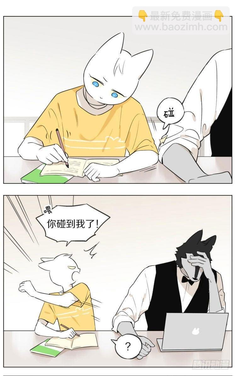 写作业