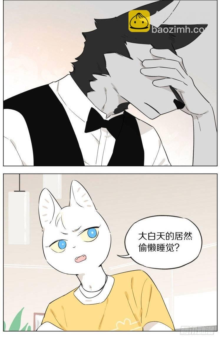 写作业