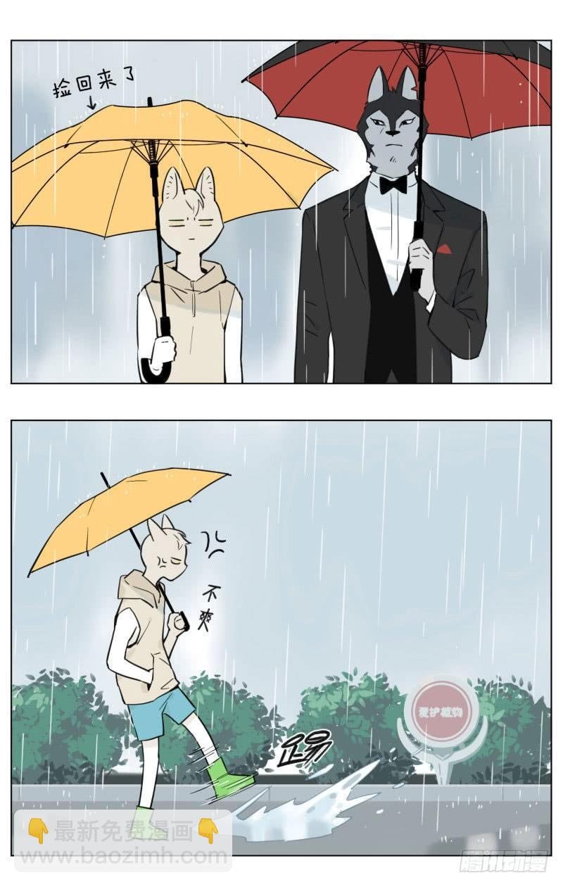雨天