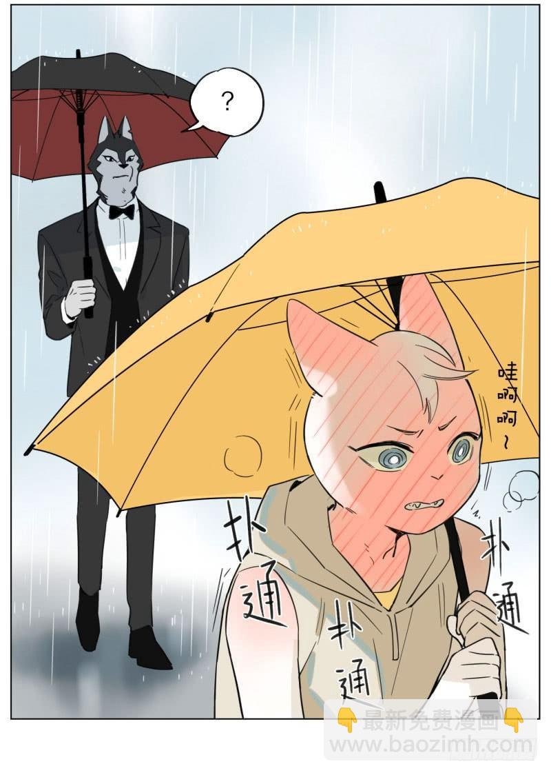 雨天