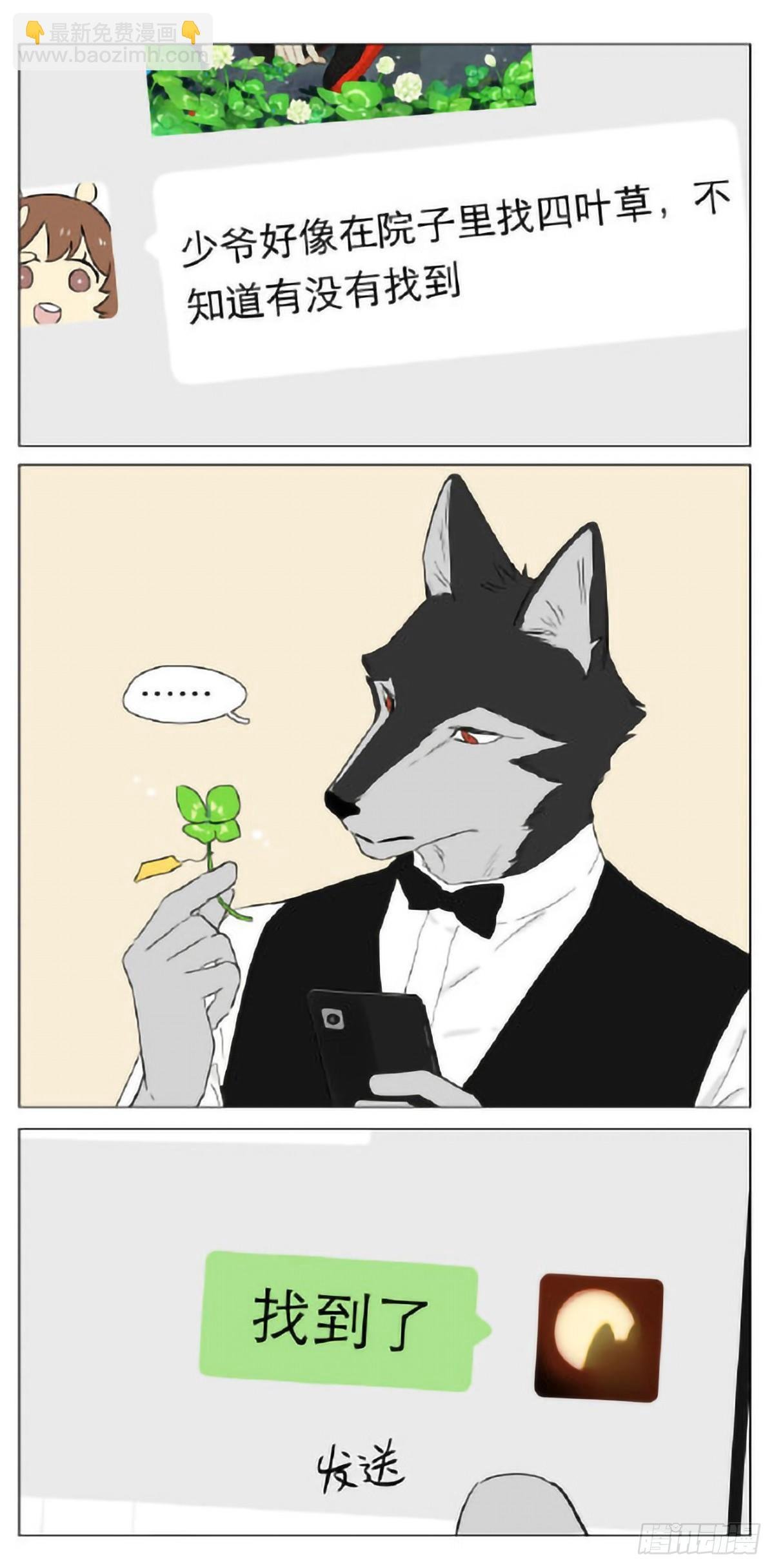 四叶草
