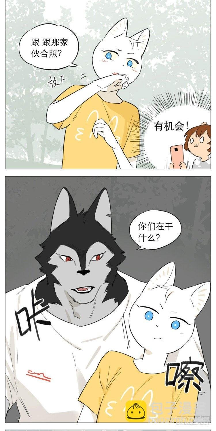 露营3