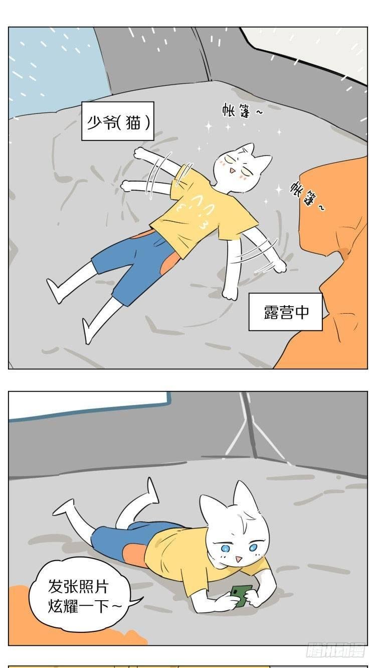露营2