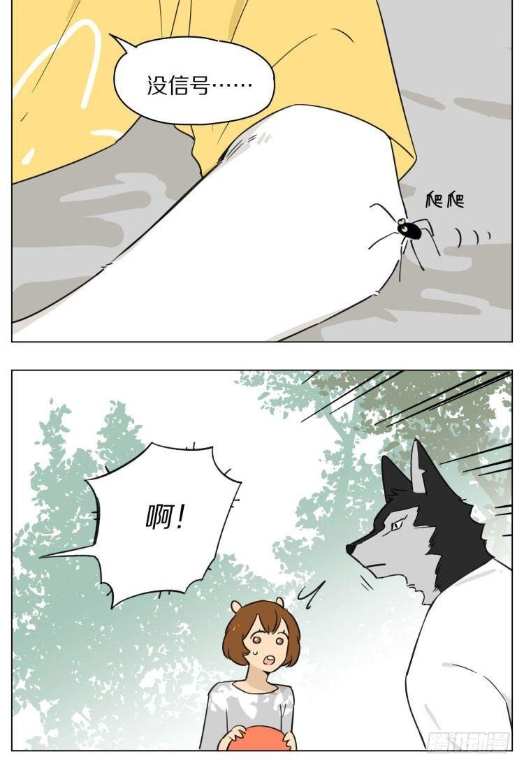 露营2